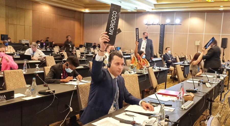 المغرب يدعو إلى إرساء شراكة دولية فعالة للتصدي للهجرات غير المنتظمة