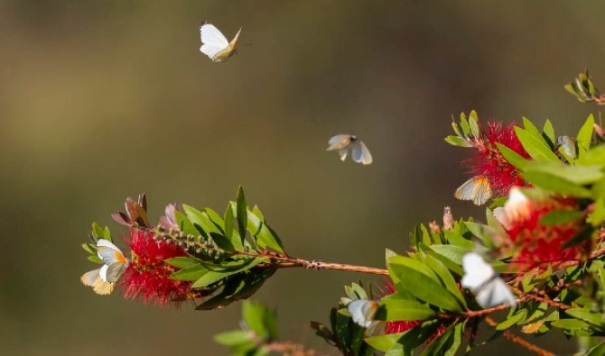 توقعات أحوال الطقس اليوم الإثنين بالمغرب