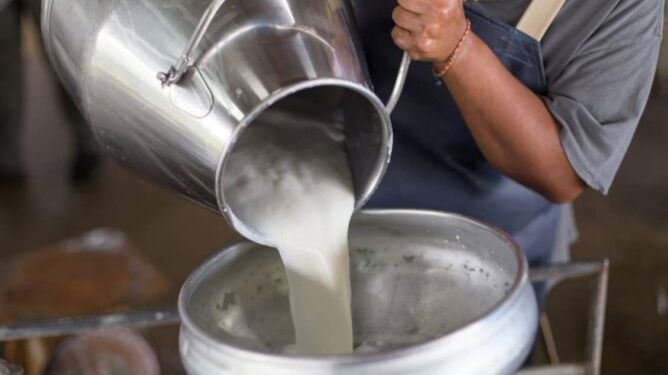 مندوبية الصحة بسطات تحذر من تزايد حالات السل بسبب استهلاك حليب غير مراقب