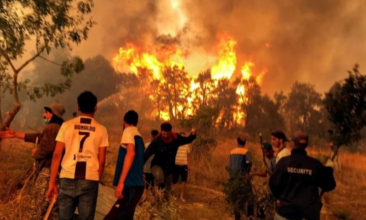 مصرع 3 وإصابة آخرين في حرائق بغابات ولاية سطيف شرق الجزائر – صفحة الشعب