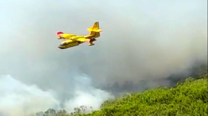 بالصور: طلعات جوية لتطويق نيران مشتعلة وسط غابة بضواحي طنجة