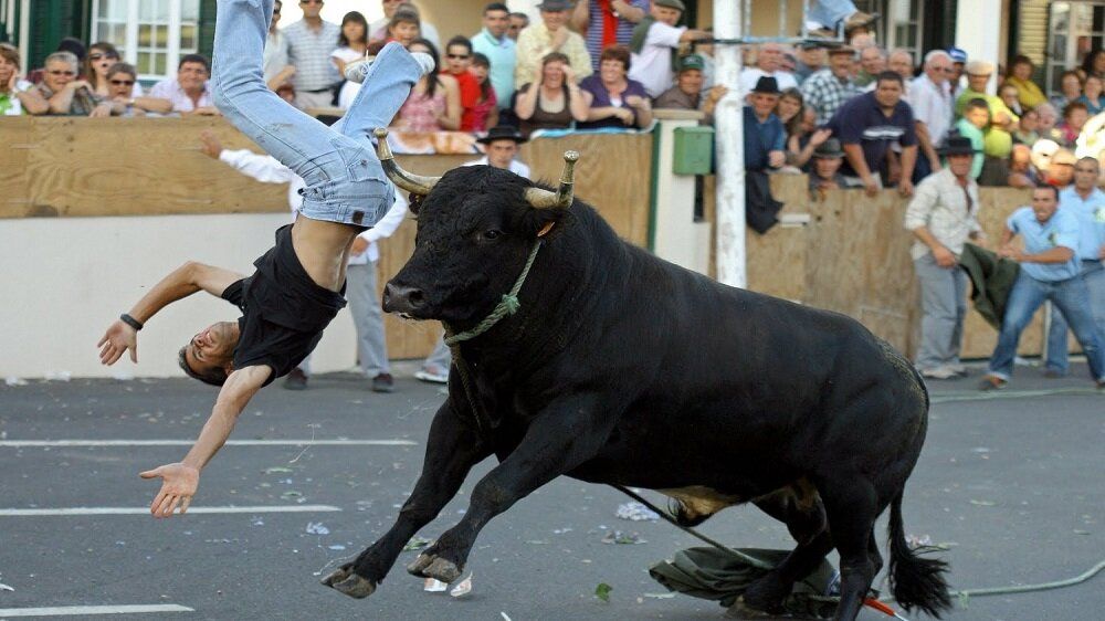 نطحة ثور تزهق روح شاب مغربي بإسبانيا